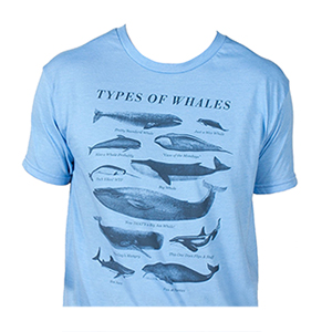 Types of Whales tee