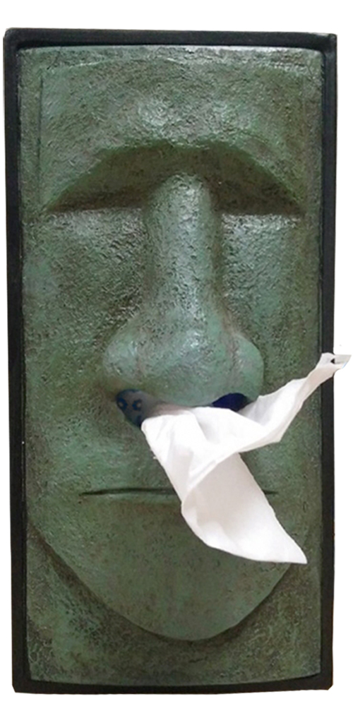 Easter Island tissue box