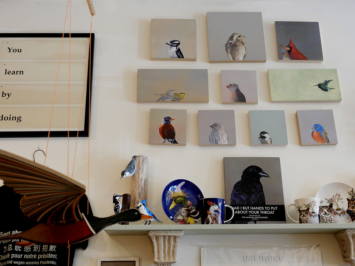 joie de vivre store photo tour